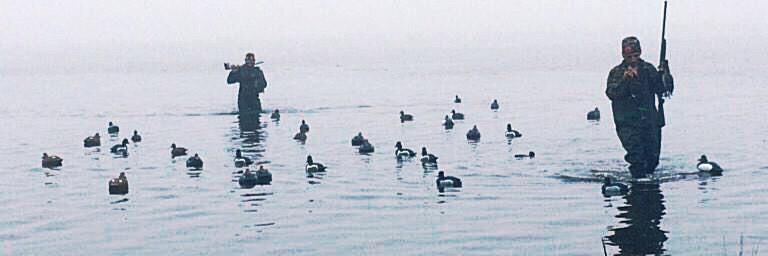 FloridaDuckmen's profile banner image