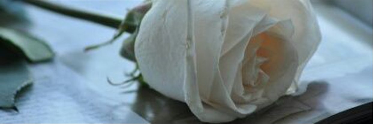 goore874's profile banner image