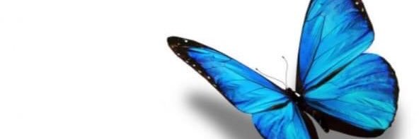 Yendox's profile banner image