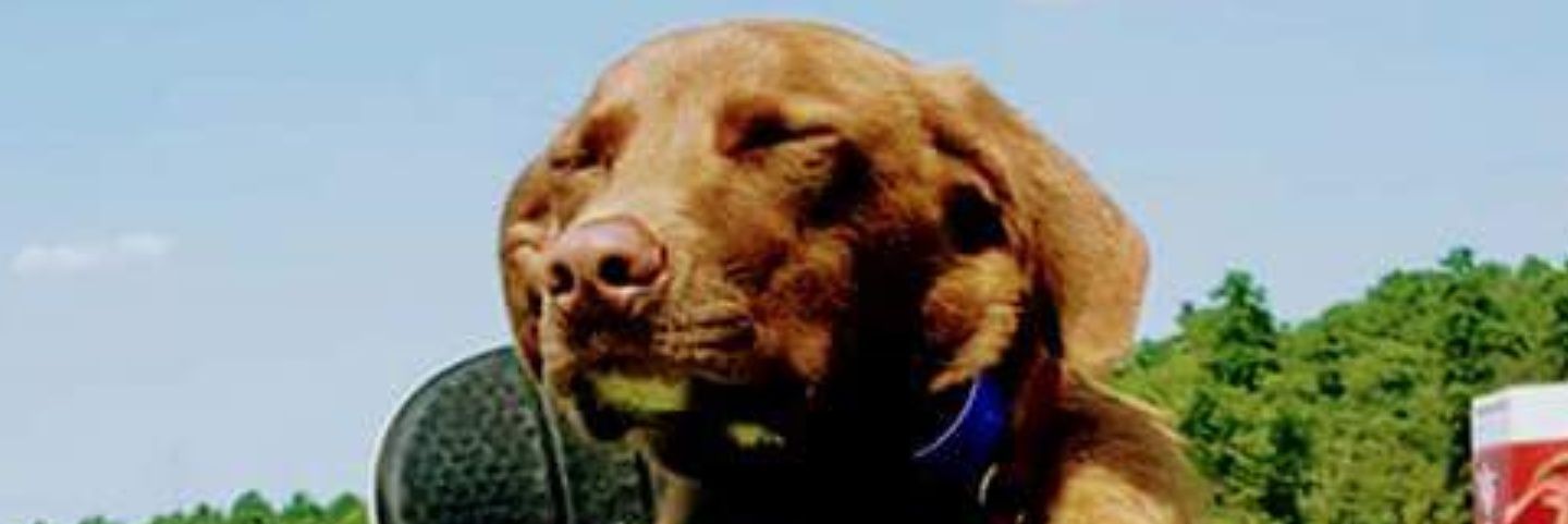 curt_brower's profile banner image