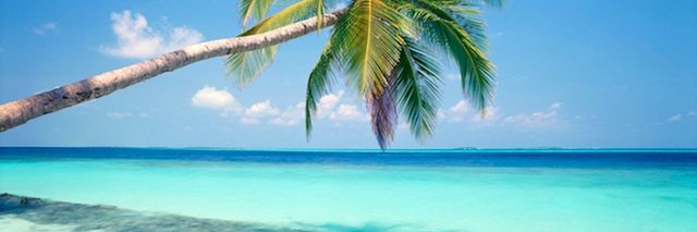 fpasaronlosada's profile banner image