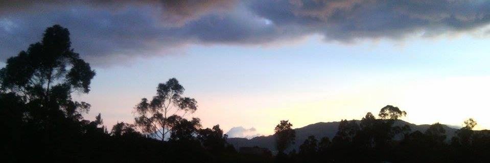 tata_ramirez684's profile banner image