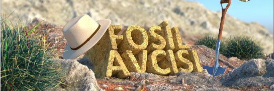 fosilavcs's profile banner image