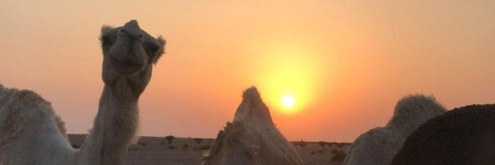 a_aaa115's profile banner image