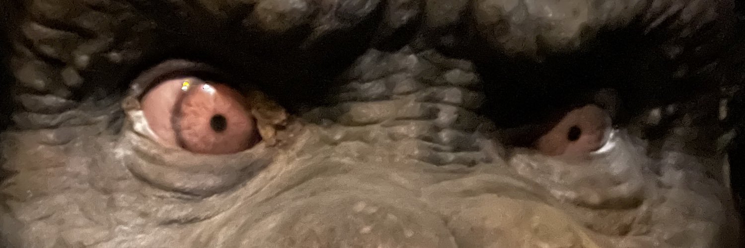 Play With Rik Too banner