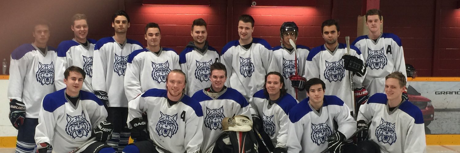 wildcats_HC's profile banner image