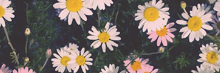 JayNotestinee's profile banner image