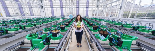 WURplant Profile Banner