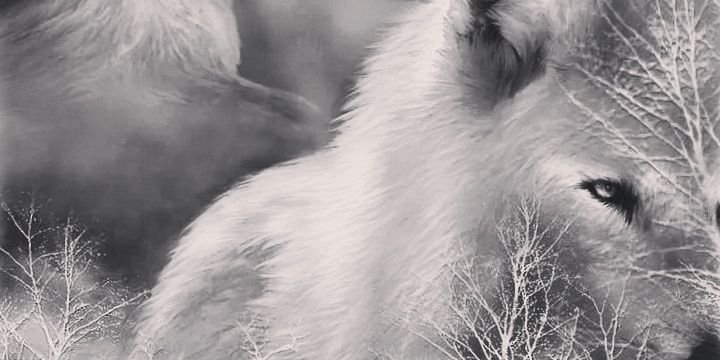 wrightmelon1's profile banner image