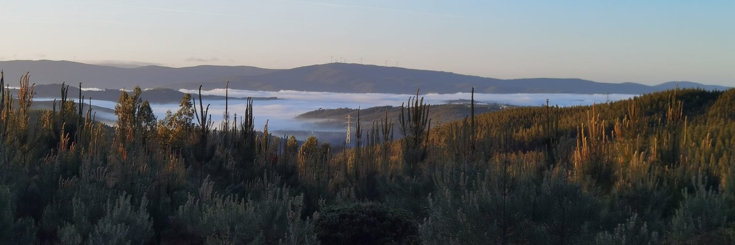 ammcaetano's profile banner image