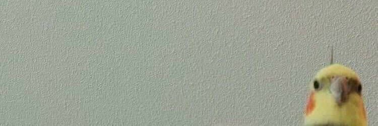 Vv banner