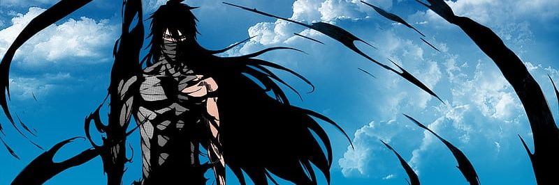 Strawhatfoolie's profile banner image