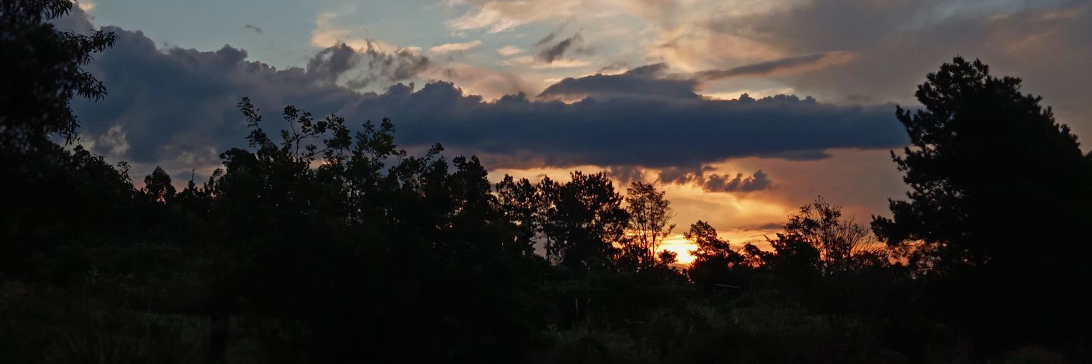 Angel_Ratoski's profile banner image