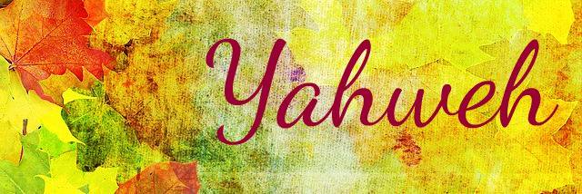 HayMVaaa's profile banner image