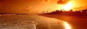 Ujjwal__Grover's profile banner image