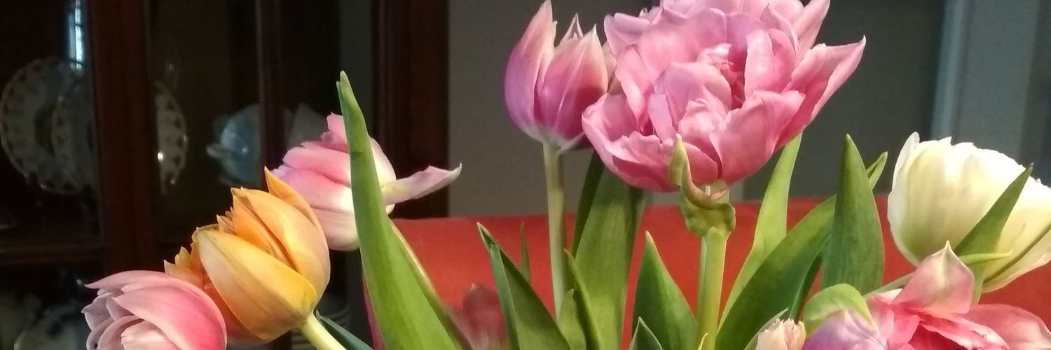 MaDoEst's profile banner image