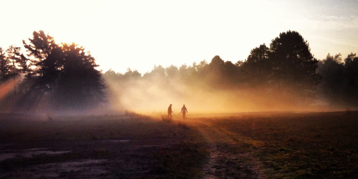 Frank Schneider banner