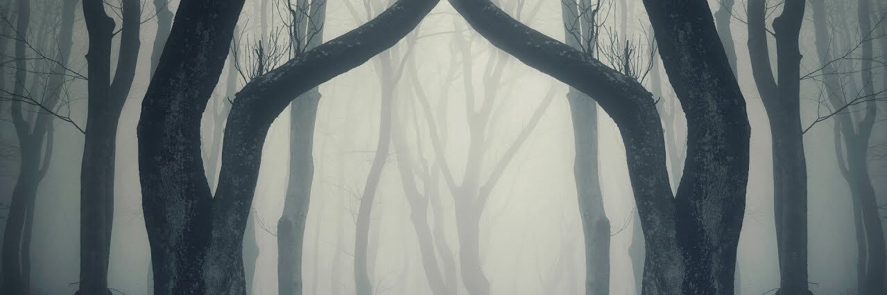 MaverMaver's profile banner image