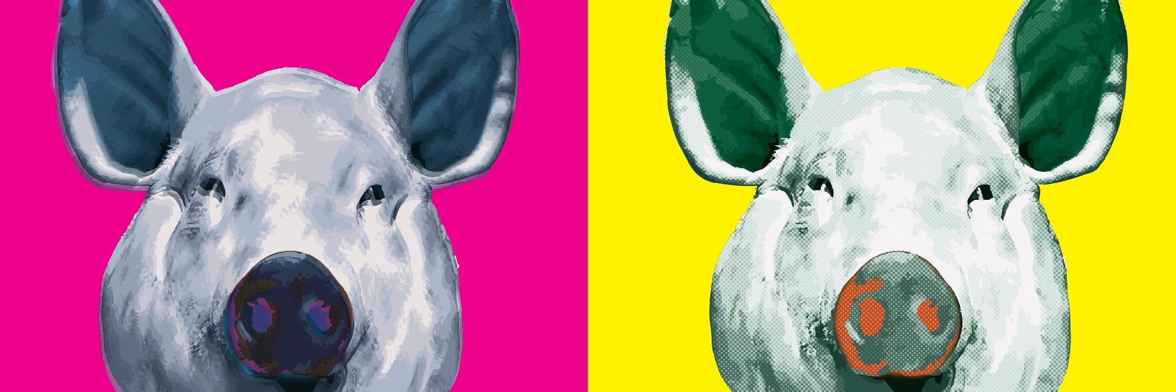 Kylie Roberts banner