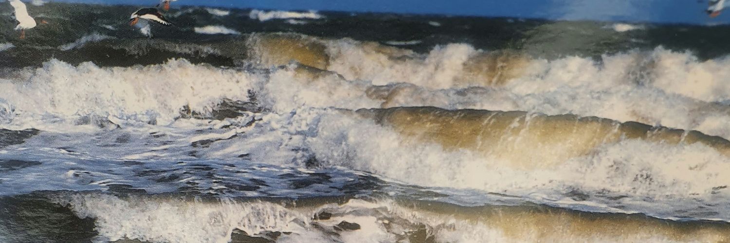 berggeist5's profile banner image