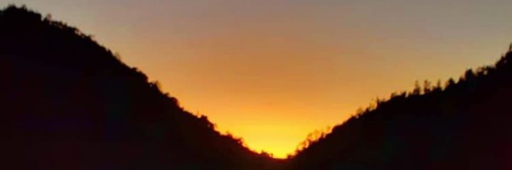 notyouradele's profile banner image