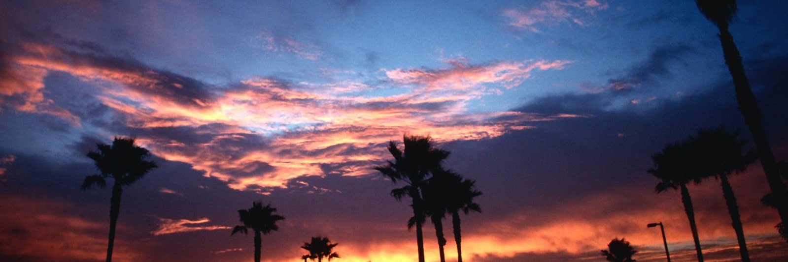TruCalifornia's profile banner image