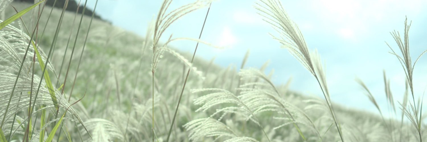 Chompoo しのぶです♪ banner