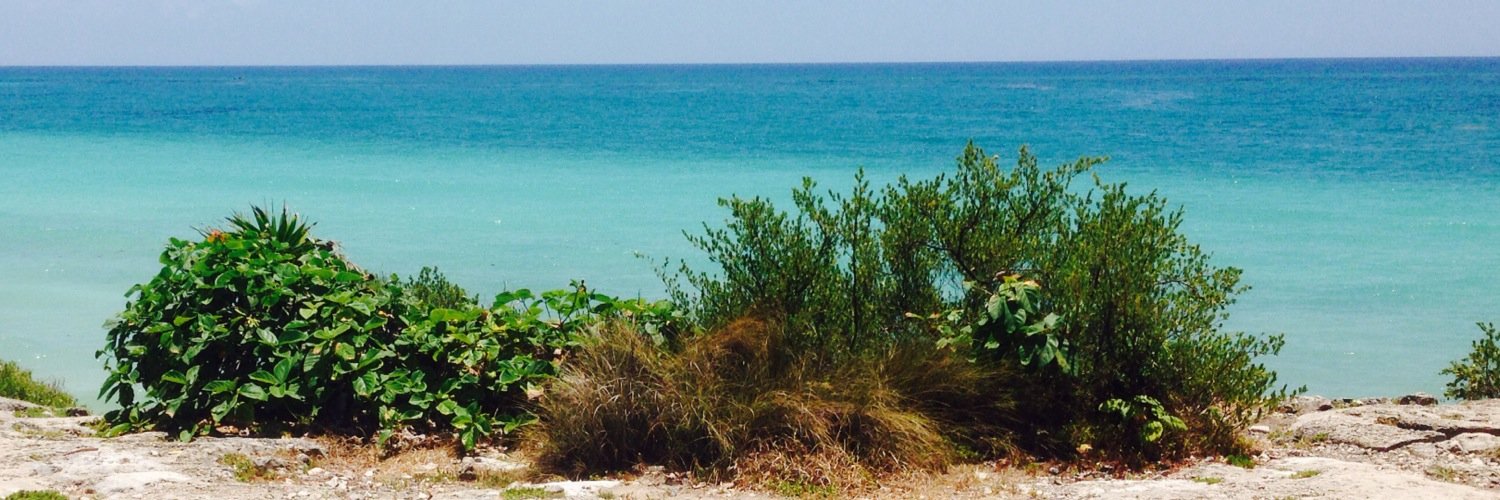claudicamos's profile banner image