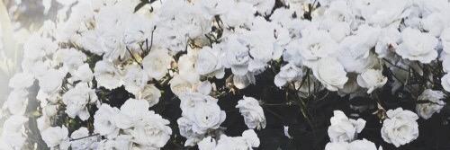 PetiteSpark's profile banner image