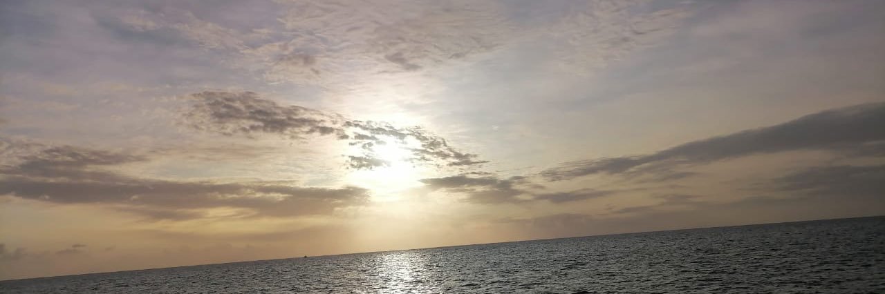ashishtorres's profile banner image