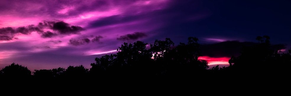 // J O H N N Y // banner