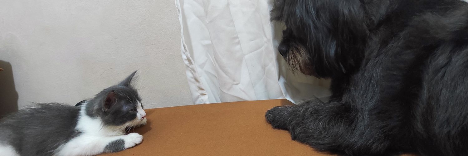 preciousg__'s profile banner image