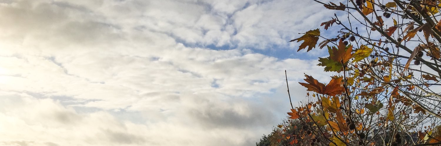donnacmarkham's profile banner image