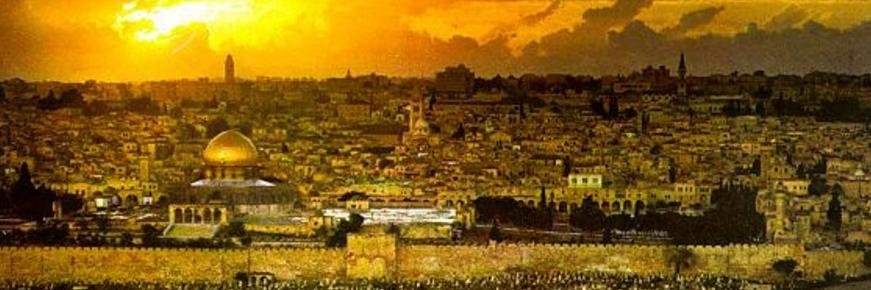 SCeredi's profile banner image