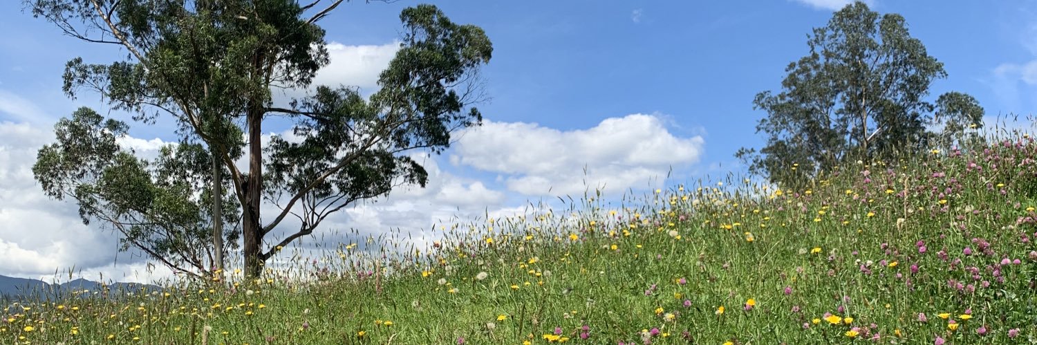 conniemedina's profile banner image