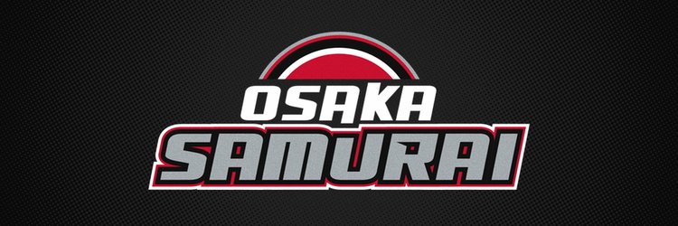 IceHLSamurai's profile banner image