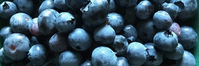 Erica Mäkipää banner