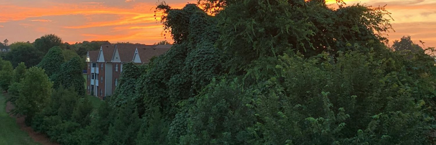 Rsacjdb's profile banner image