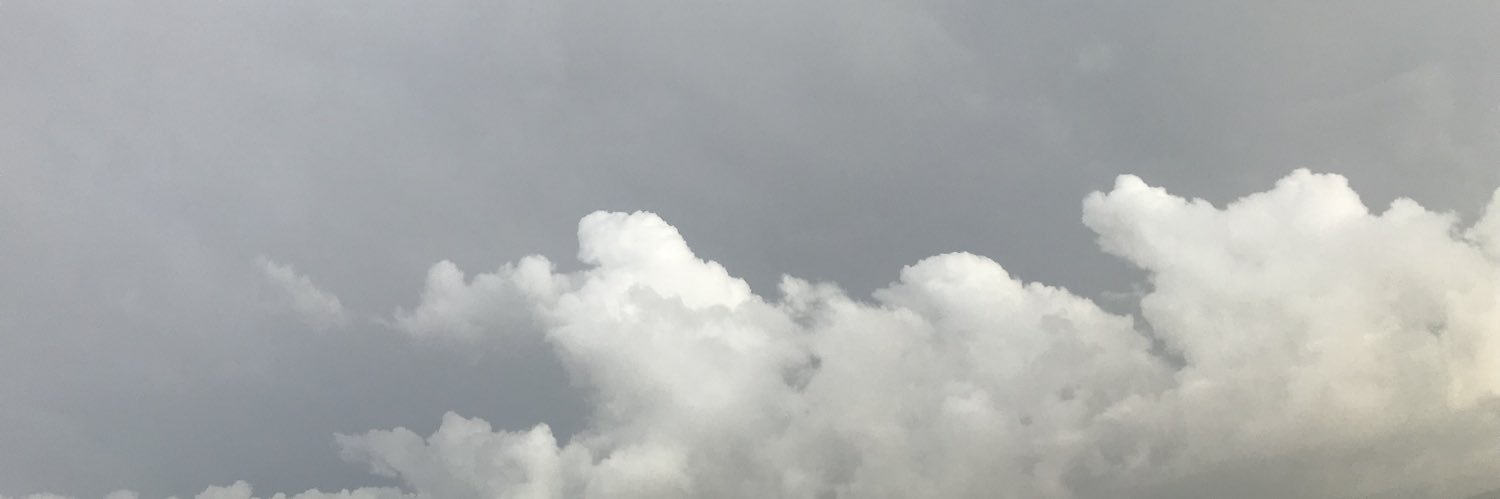 pocoal's profile banner image