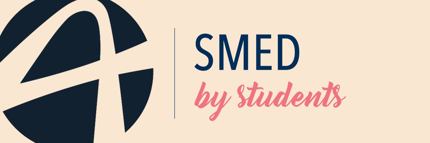 Audencia Mastère Spécialisé® SDIDAM banner