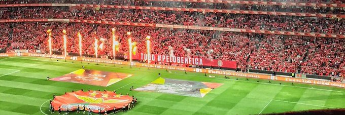 fernandespedro's profile banner image