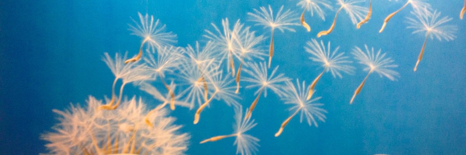 Fertility @ CWHealth banner