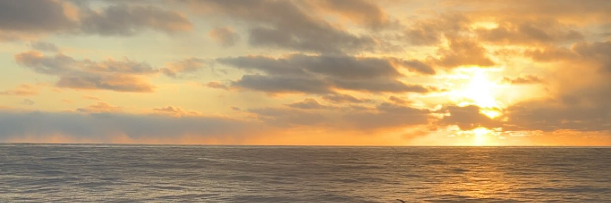 Sinsol04's profile banner image