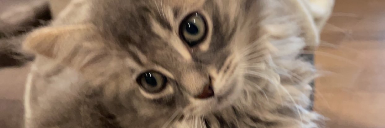 daefrazier's profile banner image