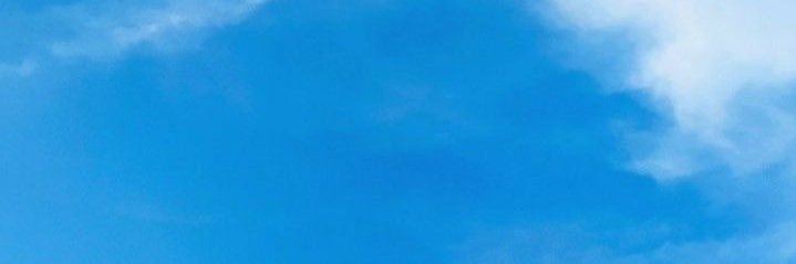 島田玲奈 banner