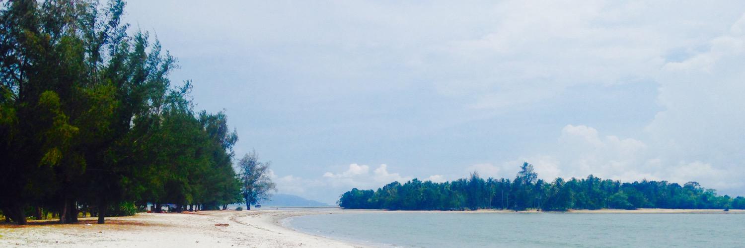 joshsdbtr's profile banner image