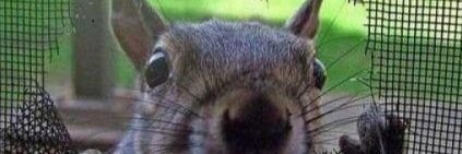 tksimms219's profile banner image