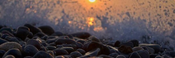 exotic_Anny Profile Banner