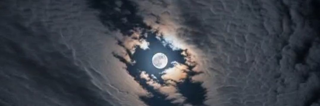 ElKatibVelBahis's profile banner image