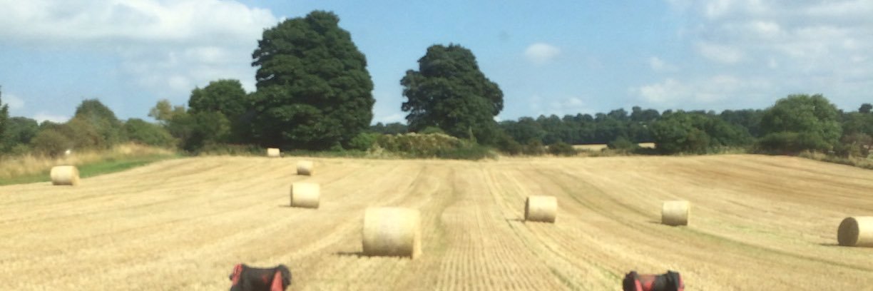 farmerfoster's profile banner image